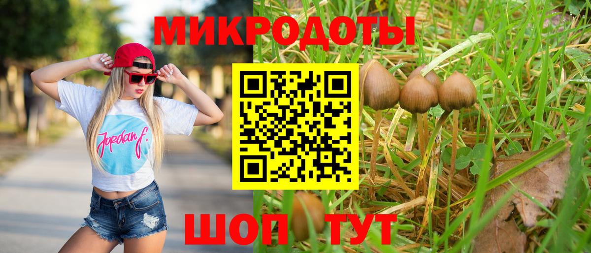 Галлюциногенные грибы GOLDEN TEACHER Нальчик
