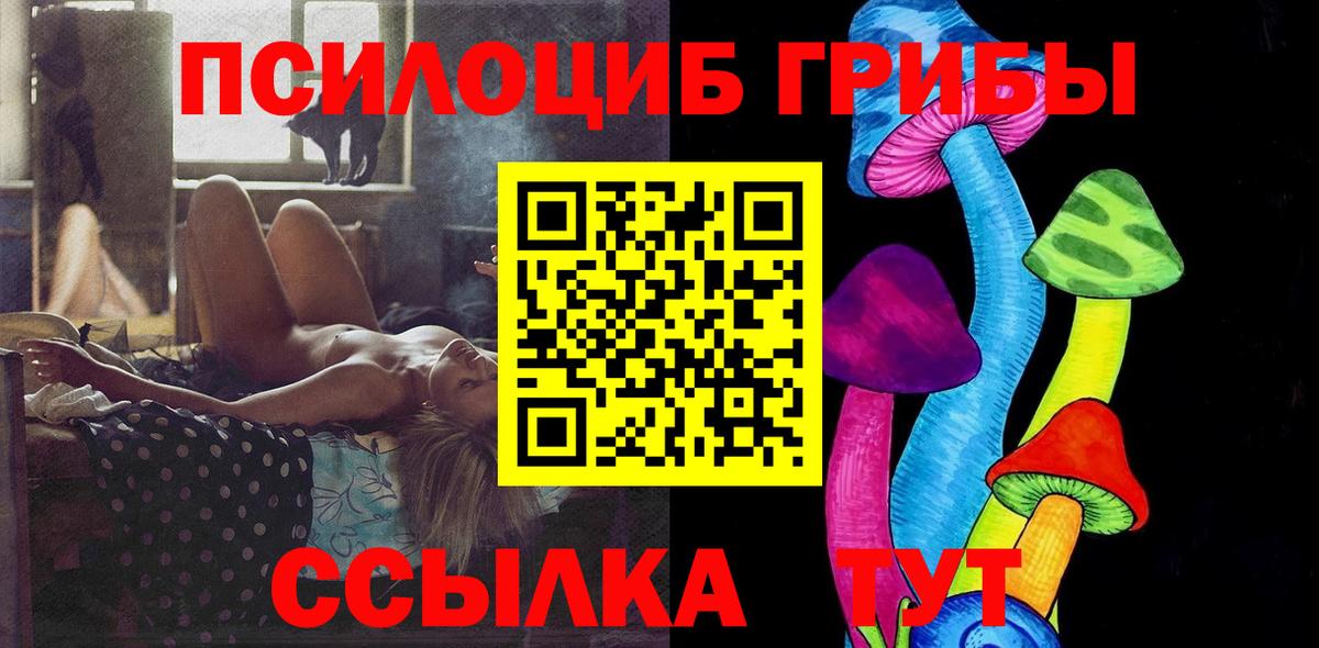 Нальчик  Псилоцибиновые грибы Psilocybe  Вход с VPN 